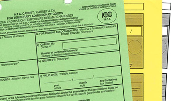 Immagine Verso il Carnet ATA digitale